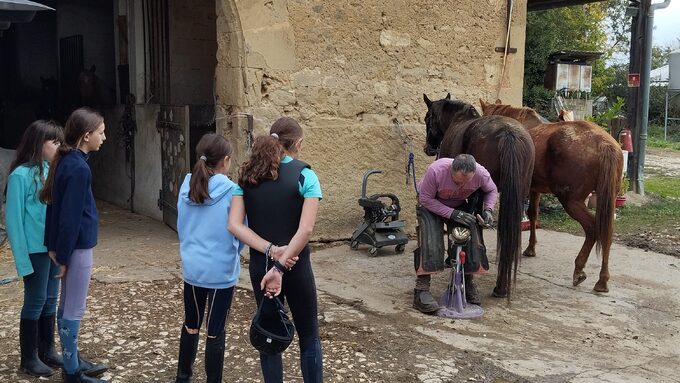 Observation du Maréchal-ferrant par les élèves de la section équitation.